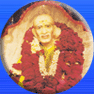 Sri Sainath Post Graduate Institute of Homoeopathy