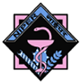 National Institute of Pharmaceutical Education and Research - NIPER ,Gandhinagar