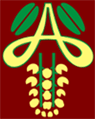 Amaltas Institute of Medical Sciences